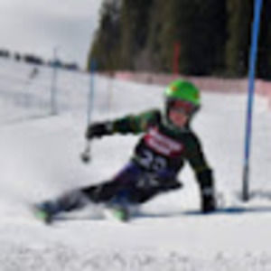 Meet your Posher, Cedar